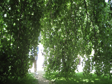 Mensch und Natur im der Planung