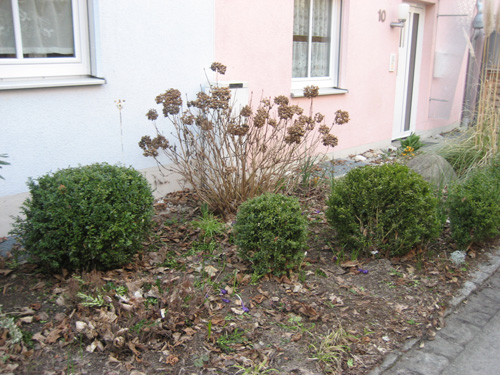 Staudenbeet Ausgangssituation