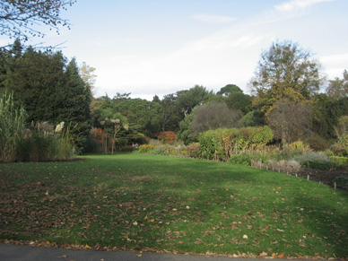Groer Garten Gartenberatung Probleme Garten Pflanzen