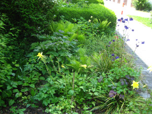 Staudenbeet spter Entwicklung