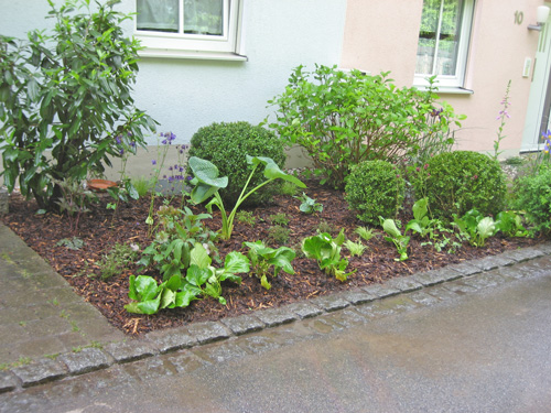 Blumenbeet Vorgarten