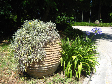 Balkon Pflanzgefe Dachterrasse dauerhafte Bepflanzung